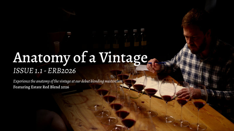 Anatomy of a Vintage | ISSUE 1.1-EWB2026